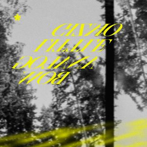 黄电影一级视频
