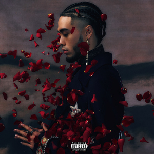 黄电影一级视频
