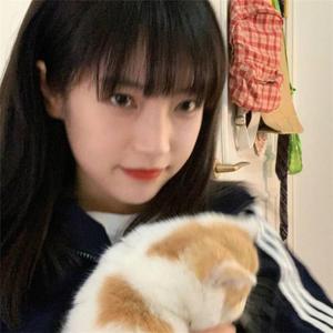 黄电影一级视频
