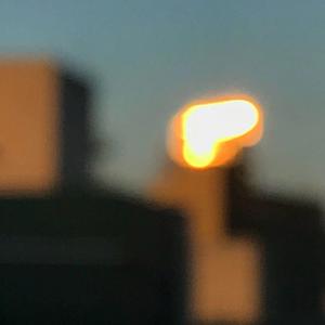 黄电影一级视频
