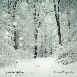 黄电影一级视频
