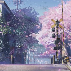 黄电影一级视频
