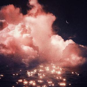 黄电影一级视频
